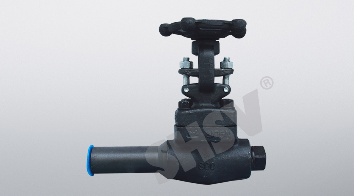 �����L�y�w�l�y